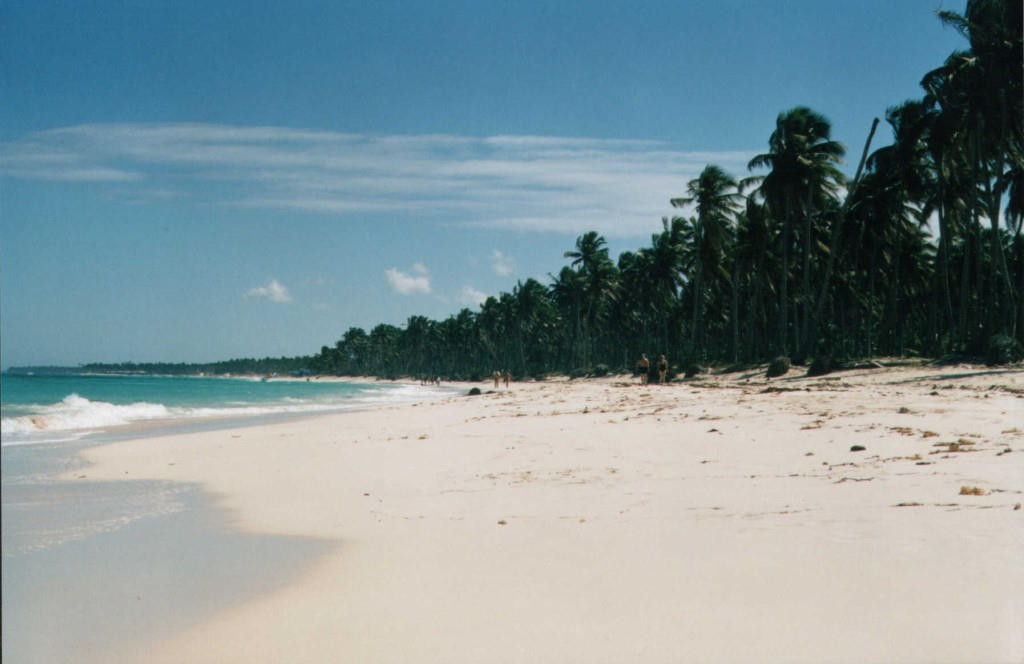 Playa De Arena Gorda Playa Bavaro De